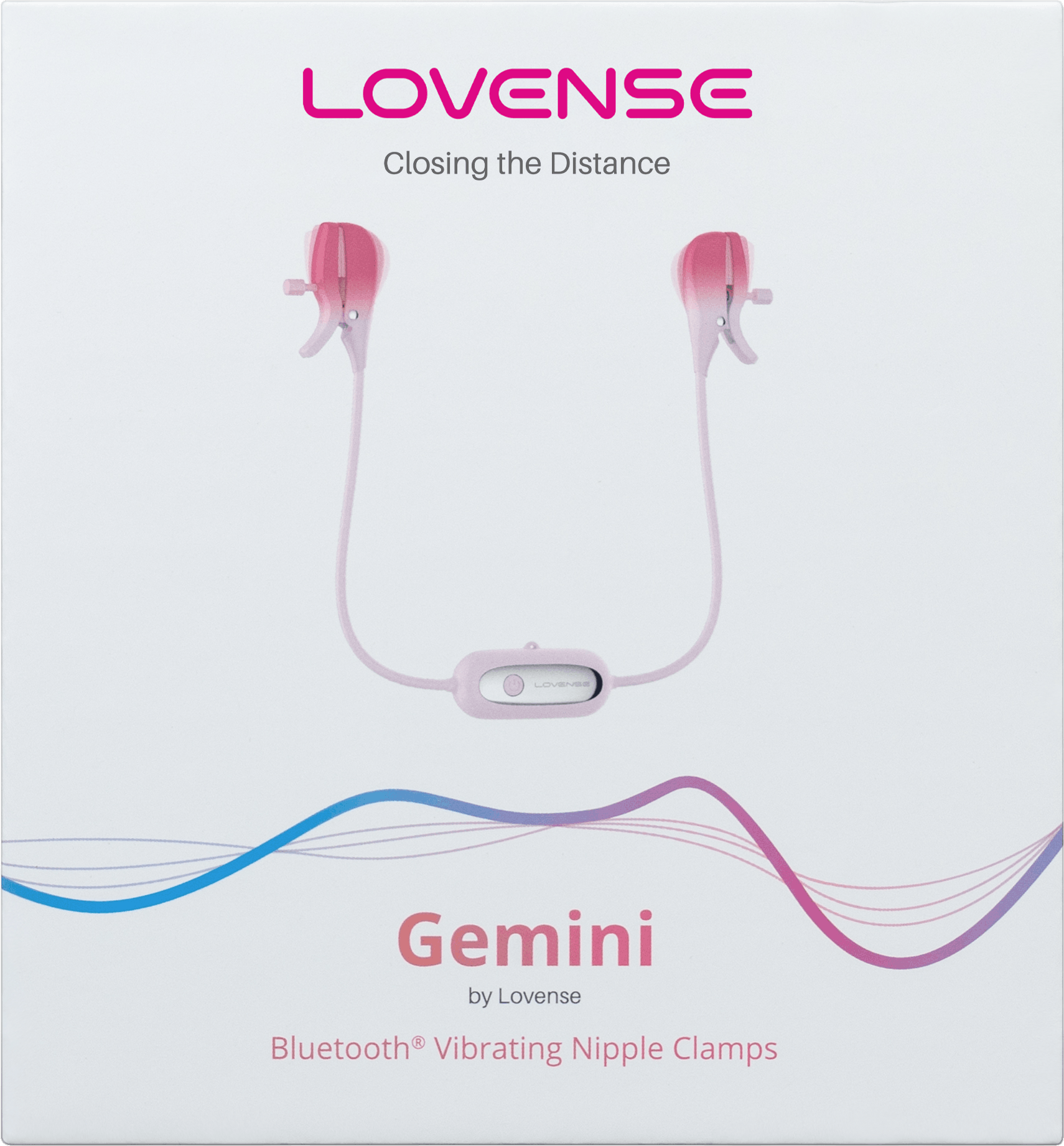 Lovense Gemini Review Unboxing
